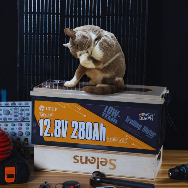 Moments of Power Queen & Its Friends
-12v 280ah