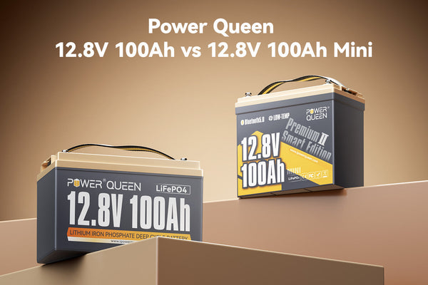 [Official] Power Queen 12.8V 100Ah vs 12.8V 100Ah Mini