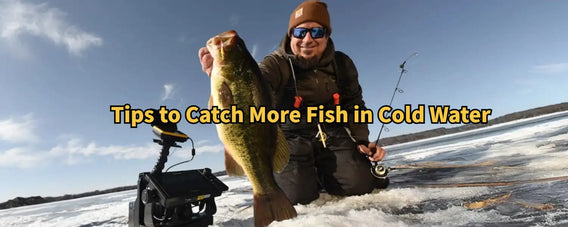 Winter Fishing Tactics That Work: Tips to Catch More Fish in Cold Water