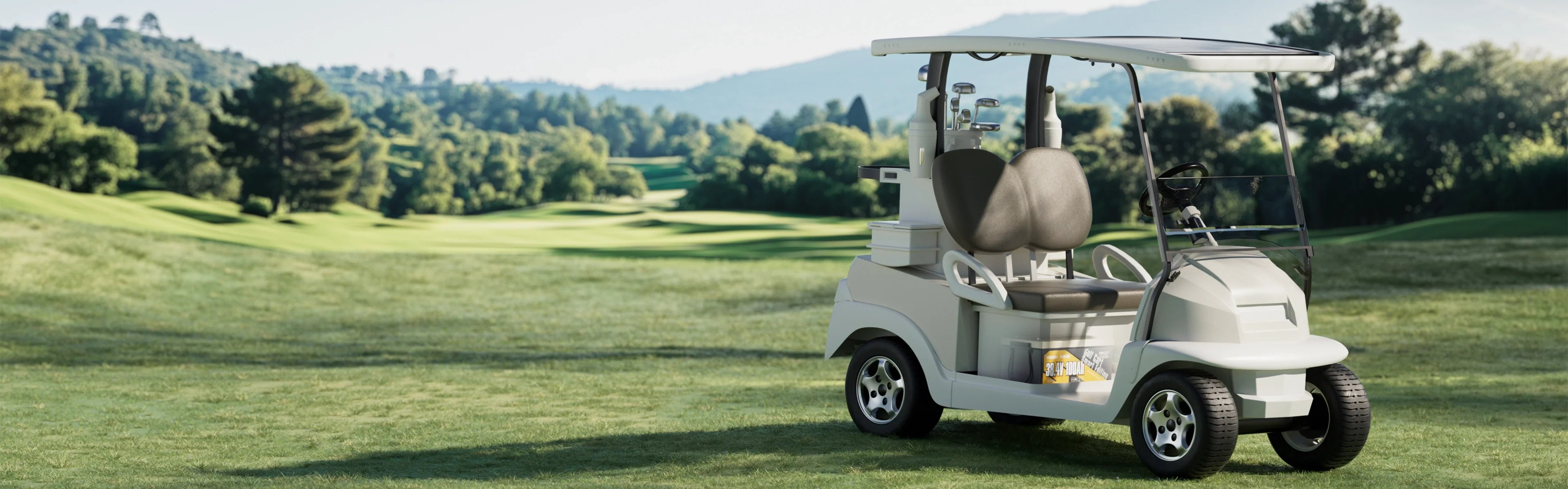 36V Golf Cart Batteries