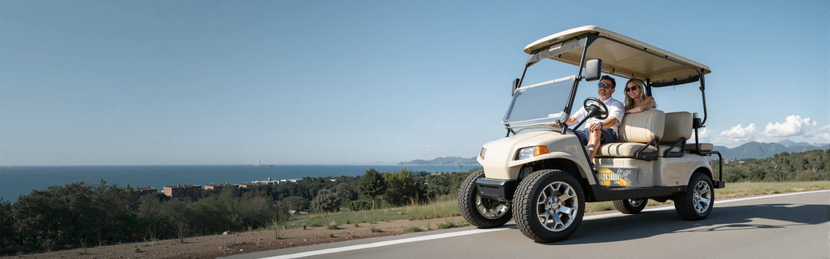 48V Golf Cart Batteries - Power Queen US