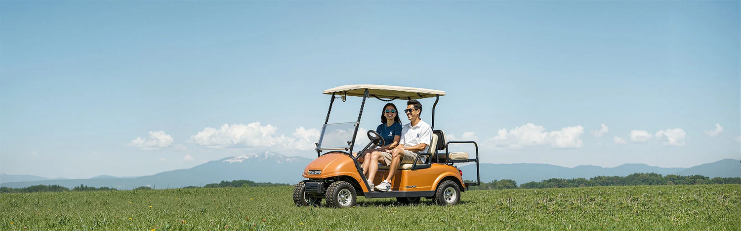 Golf Cart Lithium Batteries