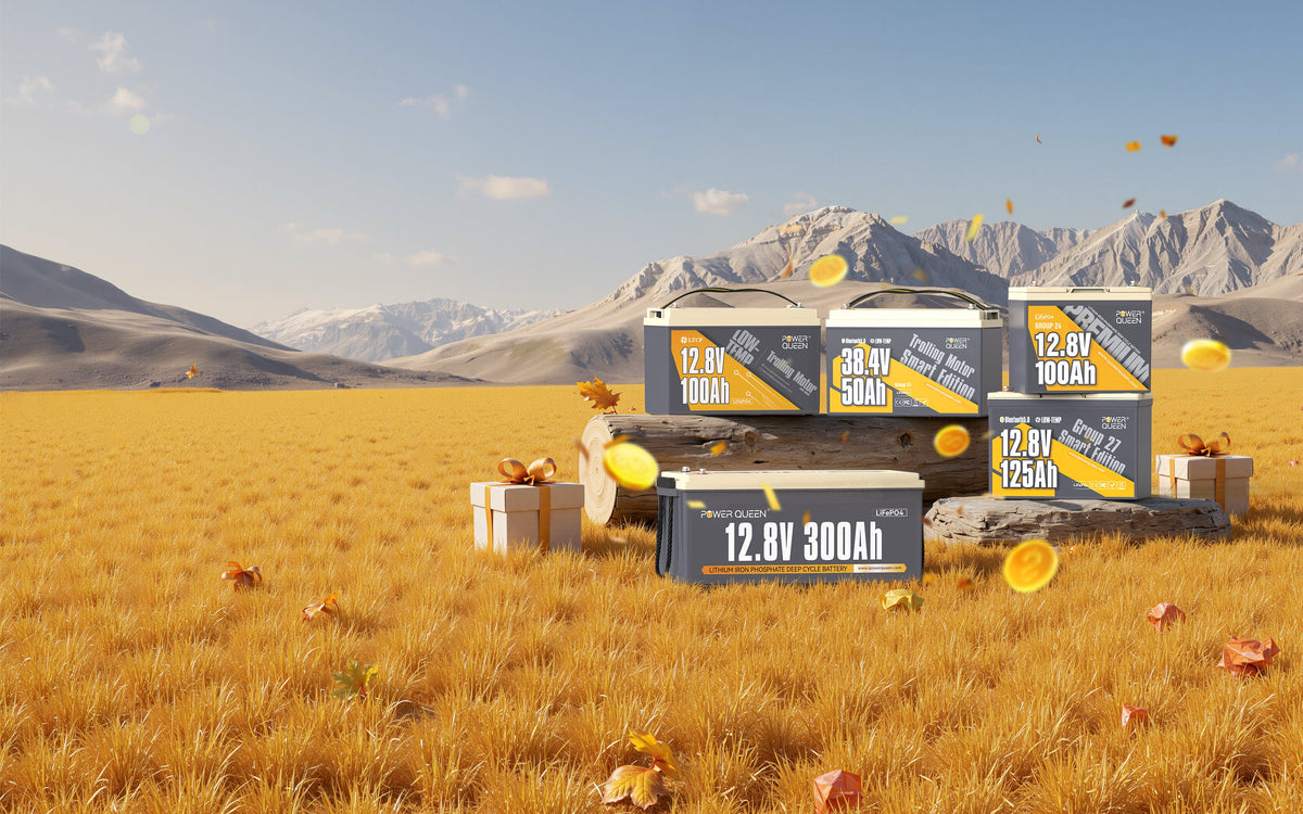 Power Queen deep cycle lithium batteries lineup on wheat ears