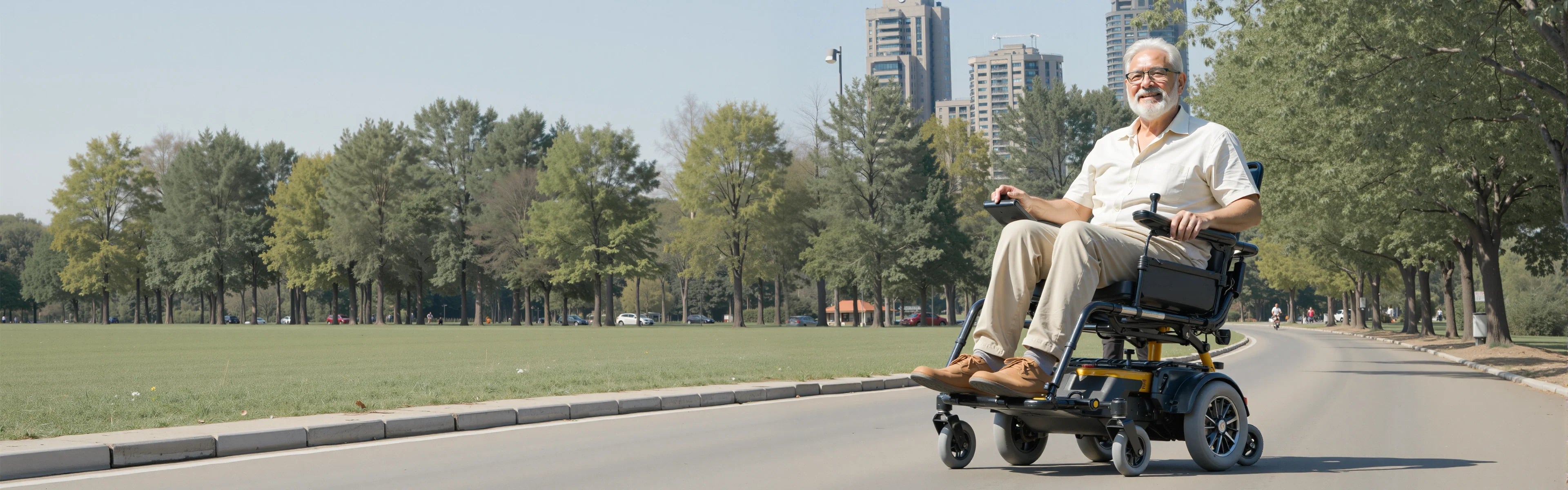 Wheelchair Batteries