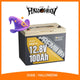 Power Queen 12V 100Ah Group 24 Deep Cycle Lithium Battery