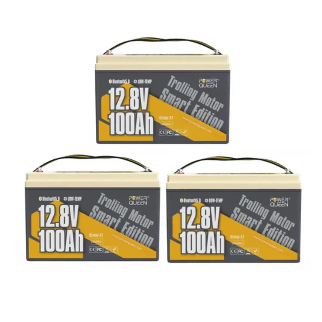 Power Queen 12V 100Ah Low-temp Smart Deep Cycle Lithium Battery