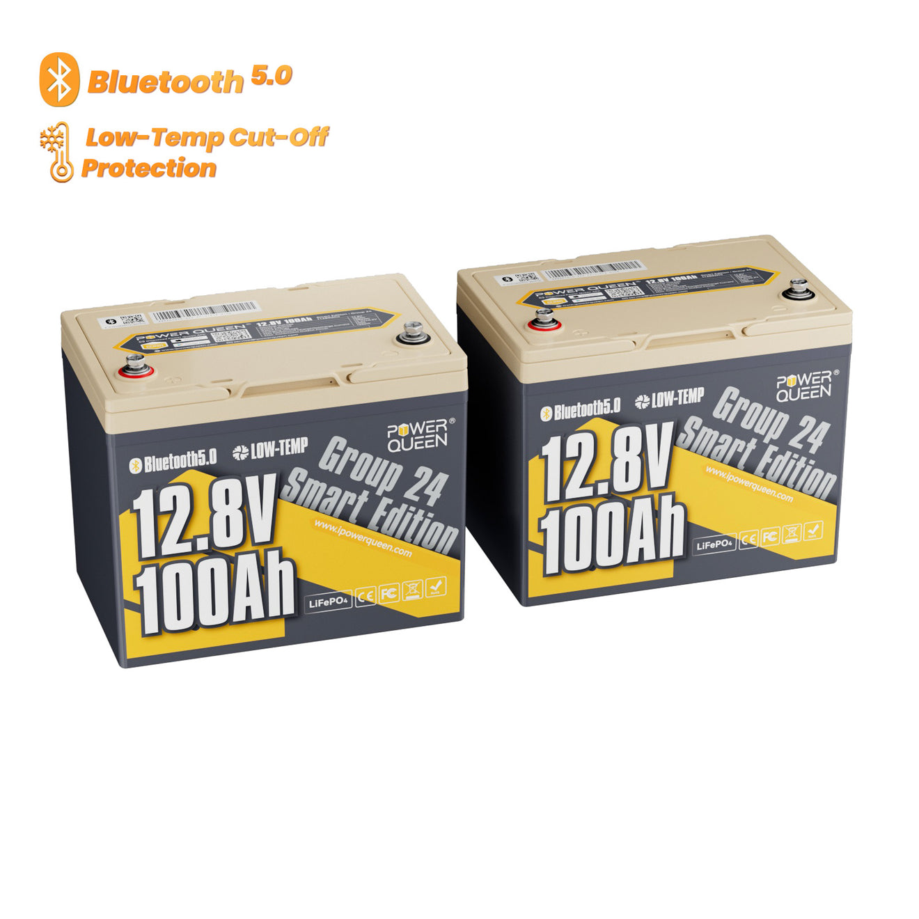 Power Queen 12V 100Ah Group 24 Smart Deep Cycle Lithium Battery