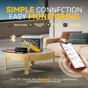 Power Queen 12V 100Ah Group 24 Smart Deep Cycle Lithium Battery With 12V 20A Charger Kit - Power Queen US