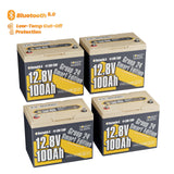 Power Queen 12V 100Ah Group 24 Smart Deep Cycle Lithium Battery