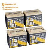 Power Queen 12V 100Ah Group 24 Smart Deep Cycle Lithium Battery - Power Queen US