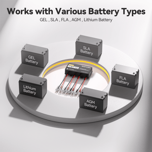 power queen-Power Queen Battery Balancer 48V Battery Equalizer for 24V/36V/48V Battery Bank- Main Product Image