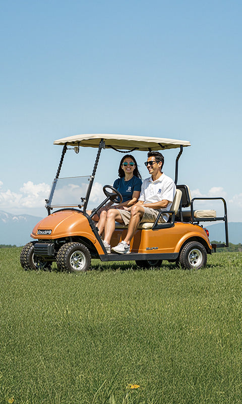 Power Queen lithium battery for golf cart