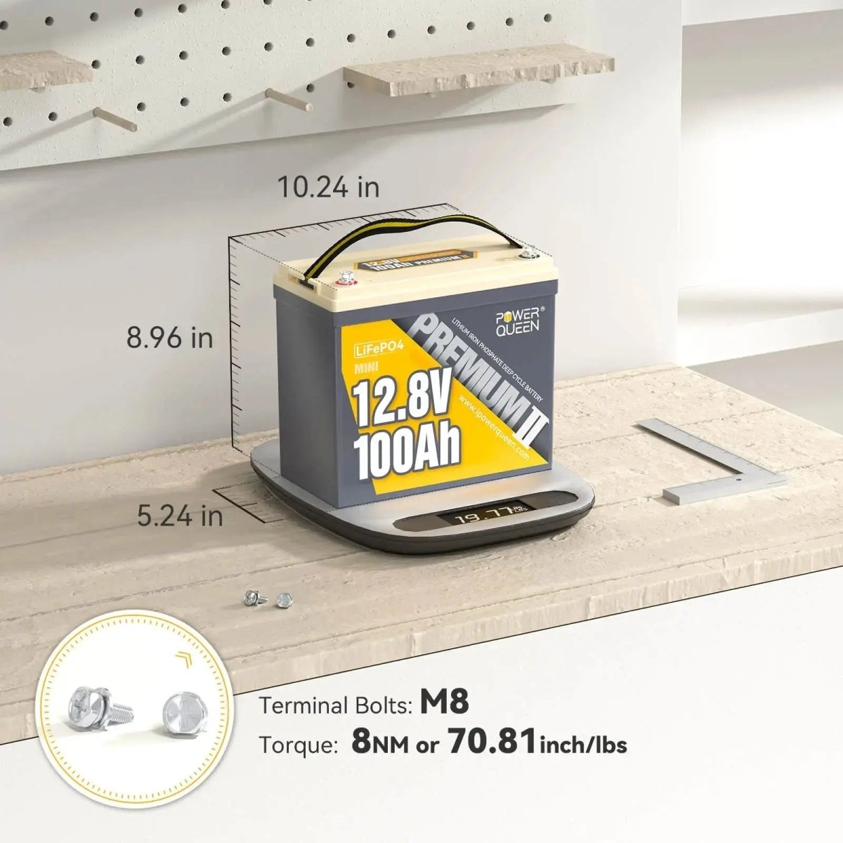 Power Queen 12.8V 100Ah Mini LiFePO4 Battery, Built-in 100A BMS Power Queen