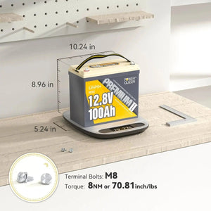 Power Queen 12.8V 100Ah Mini LiFePO4 Battery, Built-in 100A BMS Power Queen