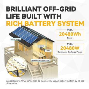 Power Queen 12.8V 100Ah Mini LiFePO4 Battery, Built-in 100A BMS Power Queen