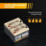 Power Queen 12.8V 100Ah Self-Heating Lithium Battery, Built-in 100A BMS Power Queen