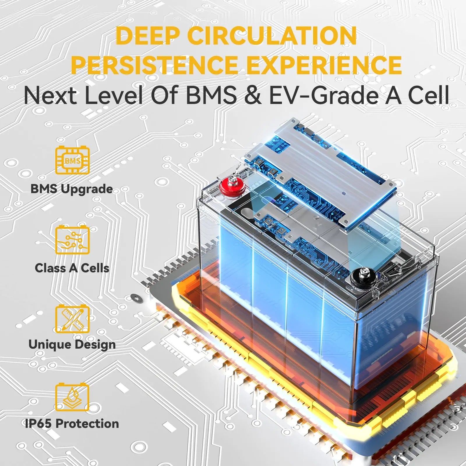 Free Expansion & 100A BMS with grade A cell
