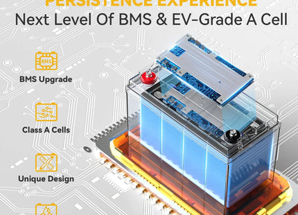 Free Expansion & 100A BMS with grade A cell