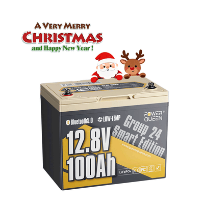 Power Queen 12V 100Ah Group 24 Smart Deep Cycle Lithium Battery