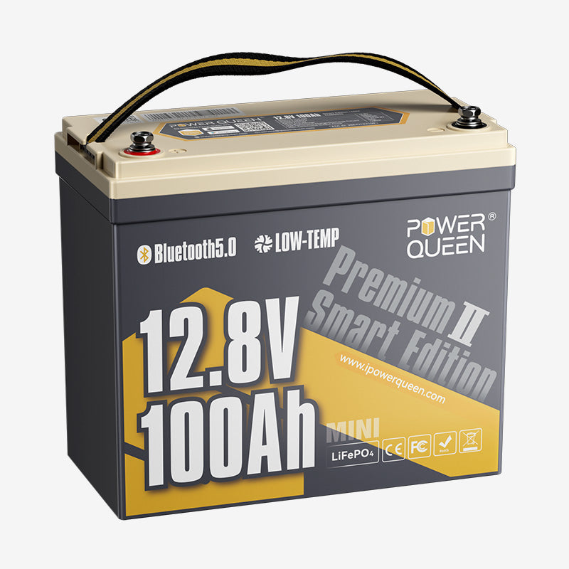 Smart low-temp protected 12.8V 100Ah lithium battery with app control