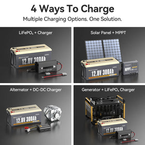 power_queen_lifepo4_lithium_deep_cycle_battery_multiple_ways_to_charge