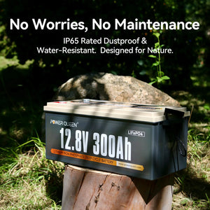 power_queen_lifepo4_lithium_deep_cycle_battery_no_maintenance_and_design_for_nature