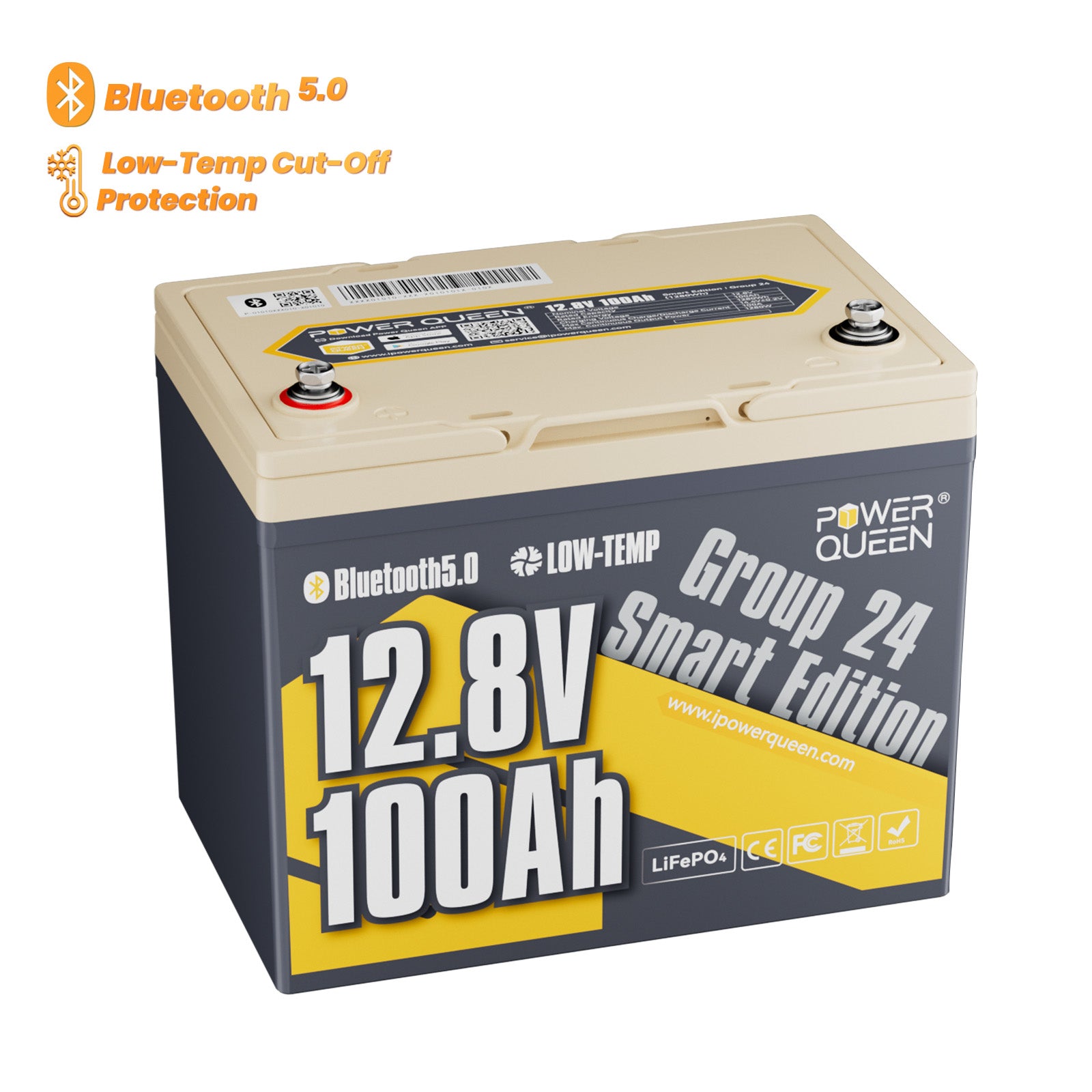 Power Queen 12V 100Ah Group 24 Smart Deep Cycle Lithium Battery Power Queen