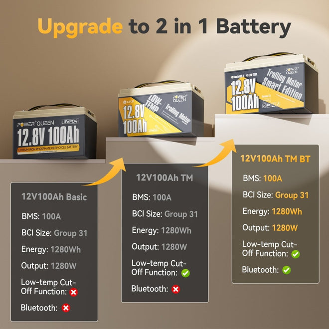 12V 100Ah Low-temp Smart Deep Cycle Lithium Battery upgrade to 2 in 1 battery