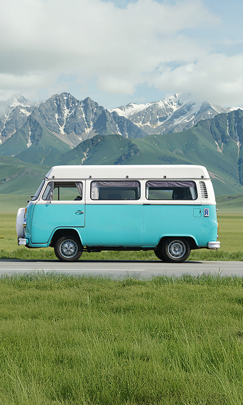 Power Queen lithium battery for Van on open grassy plains