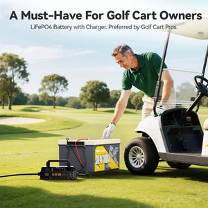 power_queen_36v_25a_Lifepo4_battery_charger_for_golf_cart