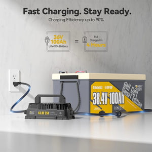 power_queen_36v_25a_Lifepo4_battery_charger_fast_charge