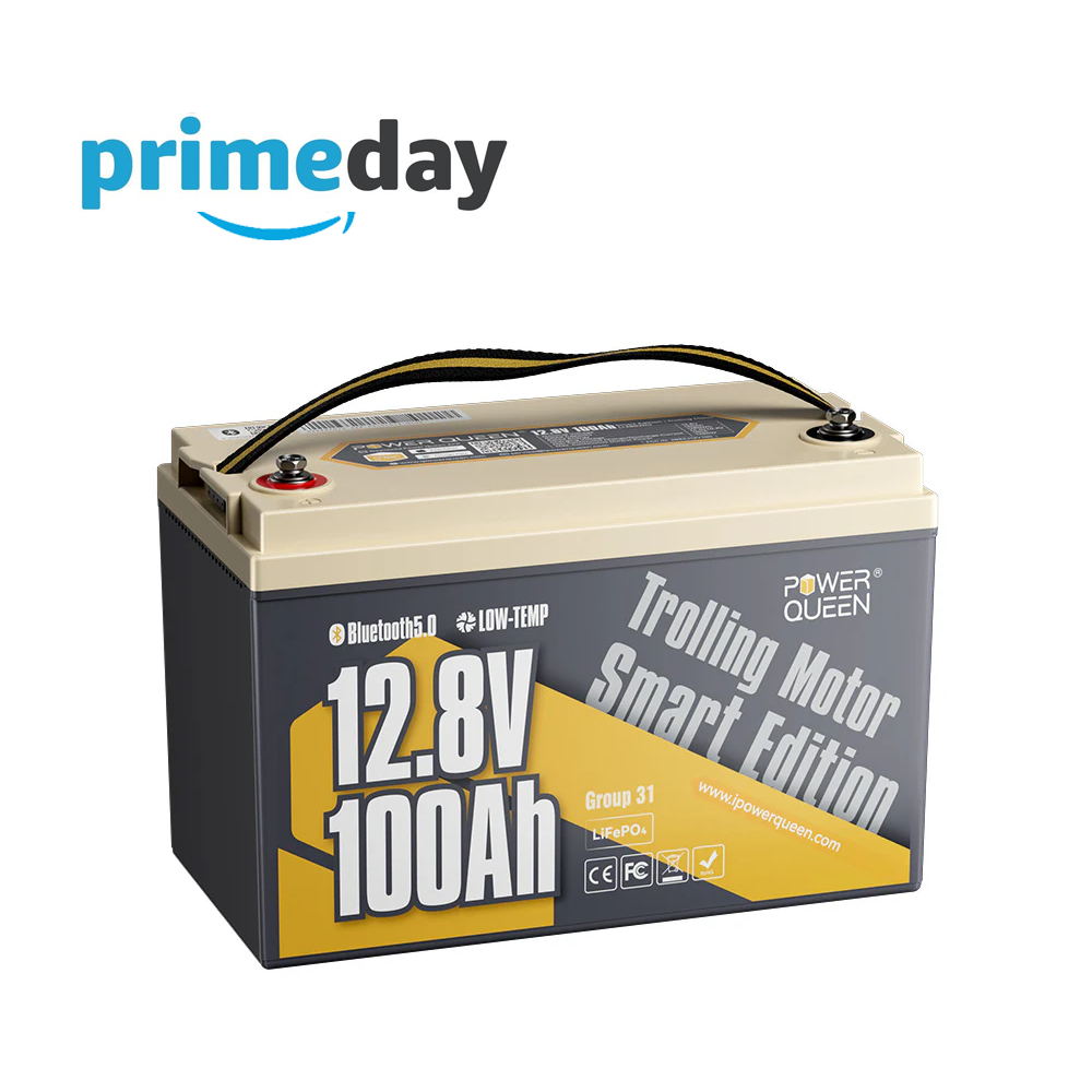 Power Queen 12V 100Ah Low-temp Smart Deep Cycle Lithium Battery