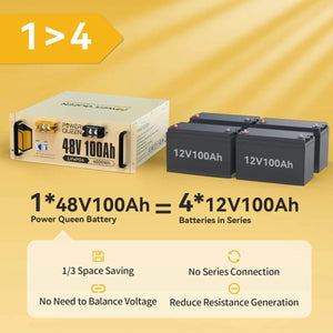 Power Queen 48V 100Ah LiFePO4 Battery, Built-in 100A BMS Power Queen